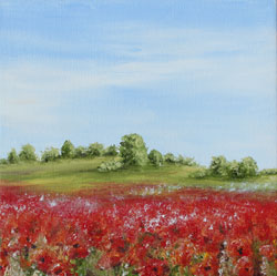 mohnfeld mohn kleinformatig �lbild haike espenhain