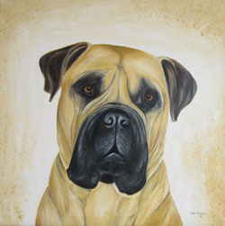 bull mastiff hund auftragsmalerei haike espenhain