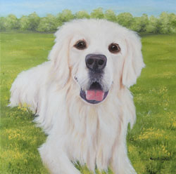 golden retriever auftrag hund tierportr�t haike espenhain