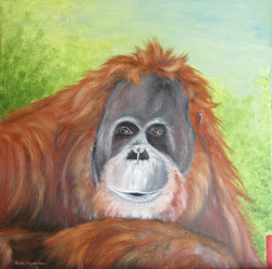 orang utan �lbild haike espenhain