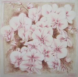 phalenopsis orschidee bl�ten creme rosa malerei �lbild haike espenhain