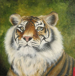 tiger �lbild haike espenhain