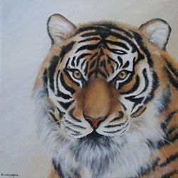 tiger �lbild haike espenhain