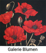 Galerie Blumen titel Roter Mohn auf schwarz