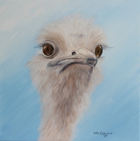 vogel strauss